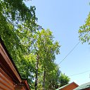���� Hoffnung, ���������, 58 ��� - ��������� 2 ���� 2024 � ������ ���� ����������