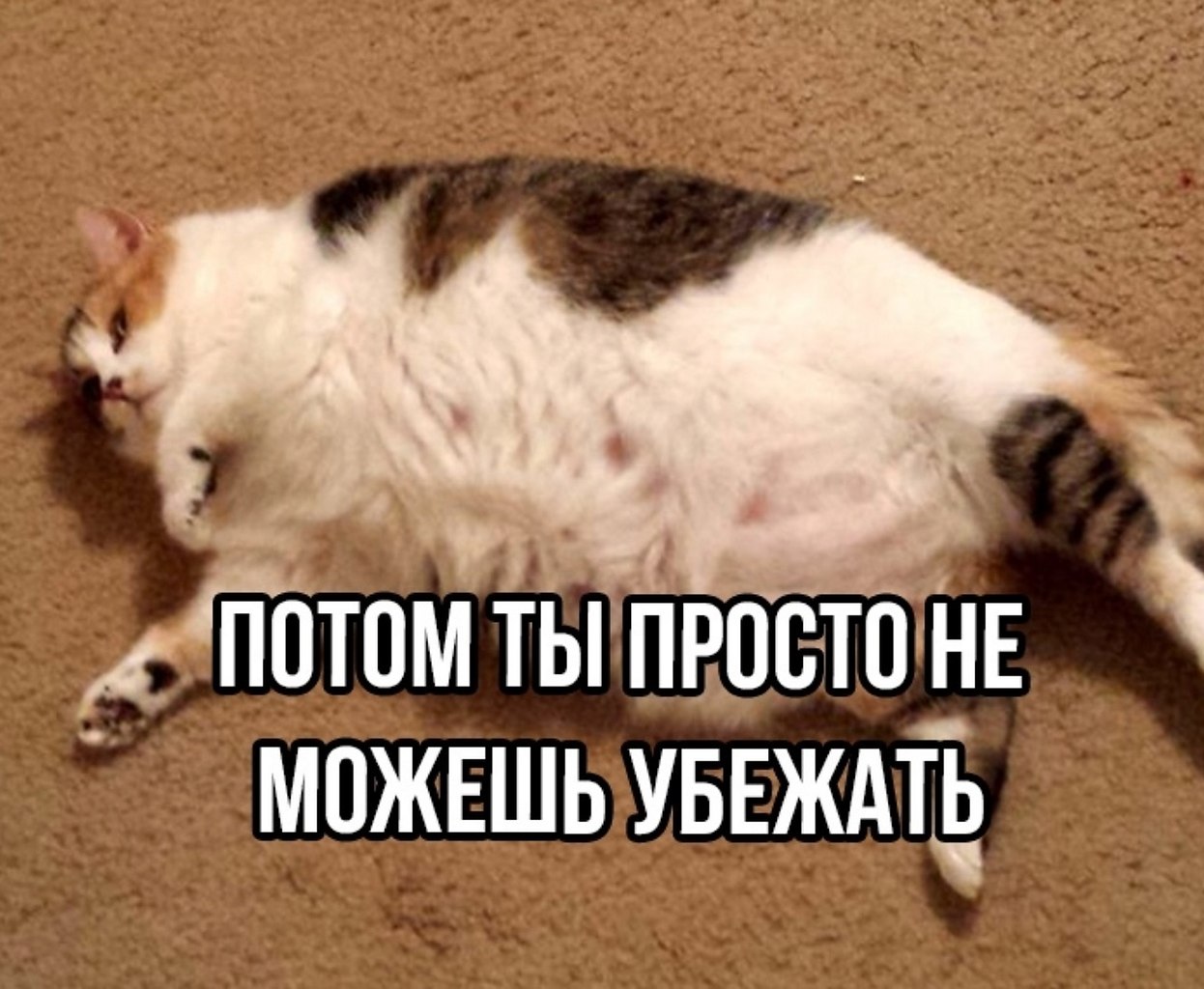 ������ �������, �� ��� ��� ������ - 7