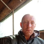 , 41 , 