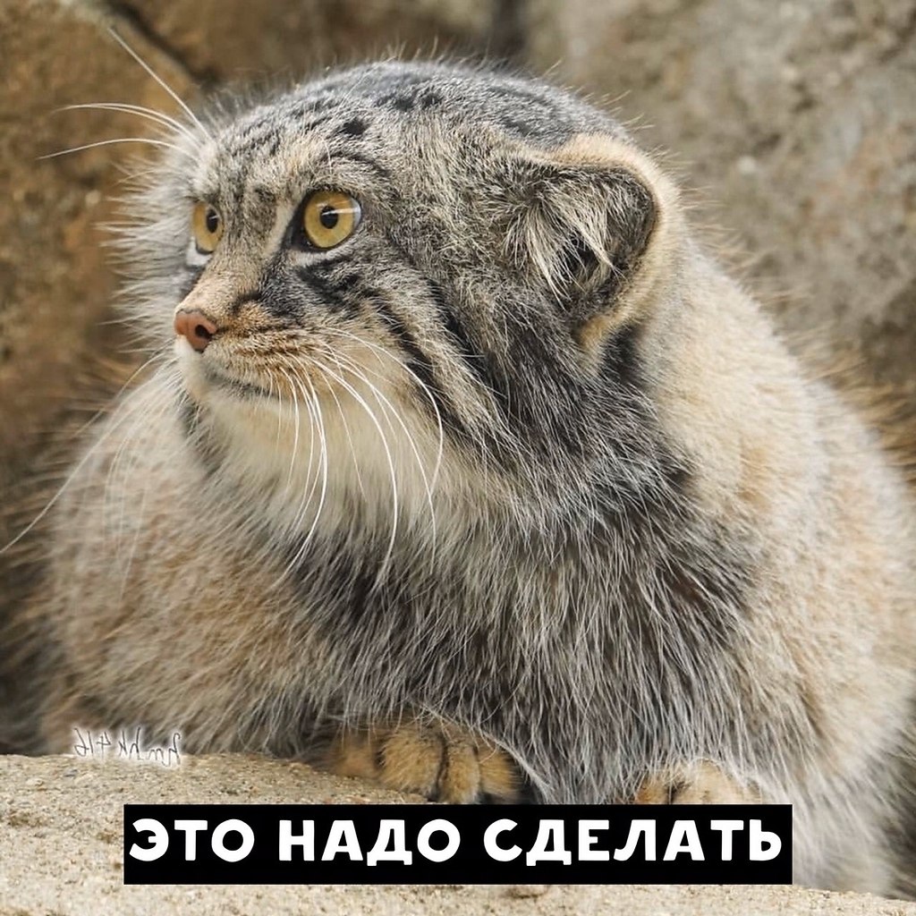 �� ���������� ������...