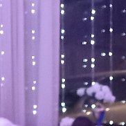 �����, 49 ���, ��������