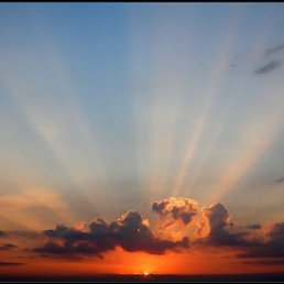 ����, �����������, 37 ���