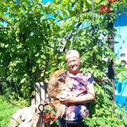 �����, ���������, 74 ����