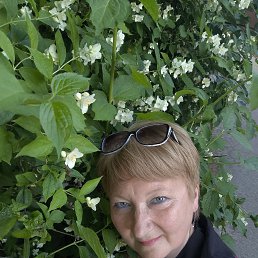 ���� ������, ������, 56 ��� - ��������� 10 ������ 2026