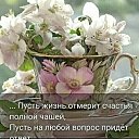 ���� ������ ��������, ������, 53 ���� - ��������� 23 ������ 2024 � ������ ���� ����������