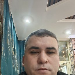 ����, 38 ���, ���������