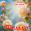 ���� ������, �������-��������� - ��������� 16 ���� 2026 � ������ ������ ��������
