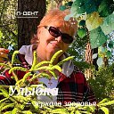 ���� ��������, �����-��������� - ��������� 15 ������� 2025