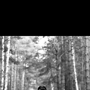 �����, 25 ���, ��������