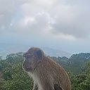 ���� ������, ��������� - ��������� 18 ������ 2026 � ������ ��������� ..������ ��������