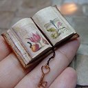 ���� ����, �����-��������� - ��������� 15 ��� 2024 � ������ ���� ����������