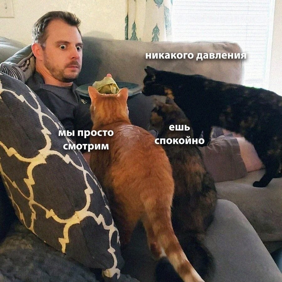    - 4  2024  00:40