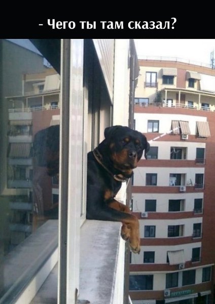 ��� ���� � ����� �� �� - 16 ���� 2025 � 11:12 - 2