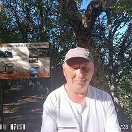 �������, 49 ���, ����������