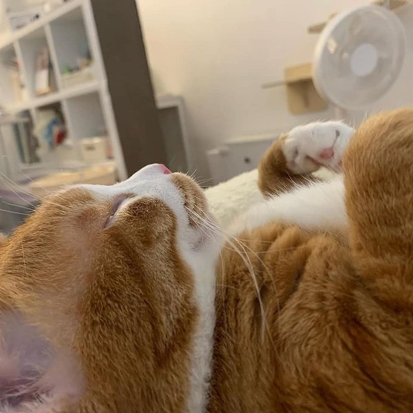 ��� ���� � ����� �� �� - 23 ������ 2026 � 12:42 - 4