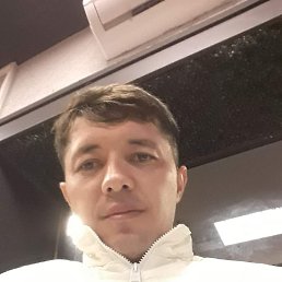 , 30, 