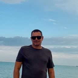 ������, ������, 51 ���