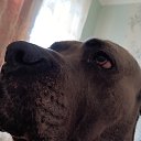 ���� Zura, ������� - ��������� 24 ������ 2025 � ������ ������ ��������