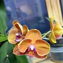 ���� �������, ������ - ��������� 14 ������� 2025 � ������ ���� �������