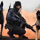 ���� ��, �����������, 38 ��� - ��������� 15 ����� 2026 � ������ ���� ����������