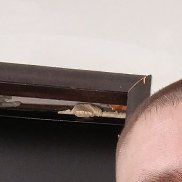 �������, 37 ���, ���������