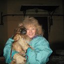 ���� �������, �����-���������, 71 ��� - ��������� 10 ������� 2025 � ������ ���� ����������