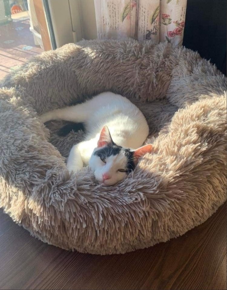 #_.    .   . ,      ... - 2