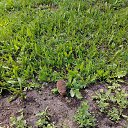 ���� Eni, ��������� - ��������� 20 ������� 2025 � ������ ���� ����������