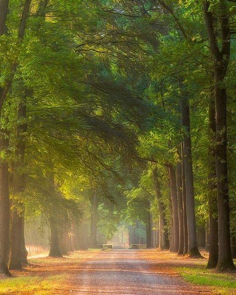 ������ �� ������ ���. ���� �� ���-�� ���������, ������ � ��� ���������� ������ ����� �����, �� ��� ... - 3