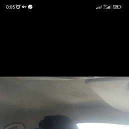 ��������, ���������, 44 ����