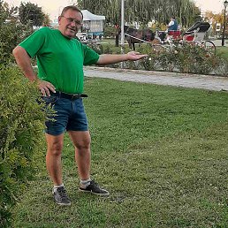 , 57, 