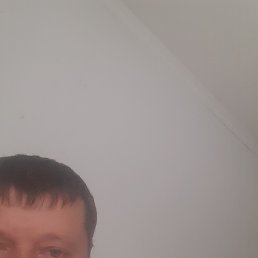 , 28, 
