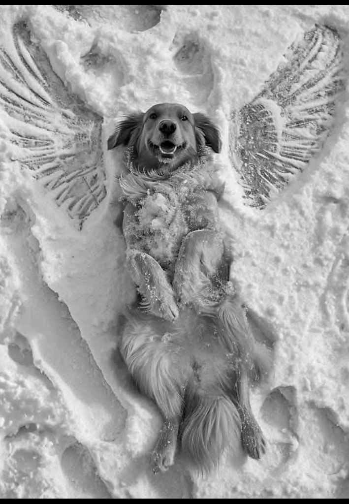 ... .,     ,  .         ... - 3