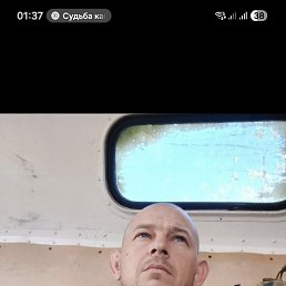 �����, 38 ���, ������