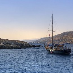 �������, ����, 42 ����