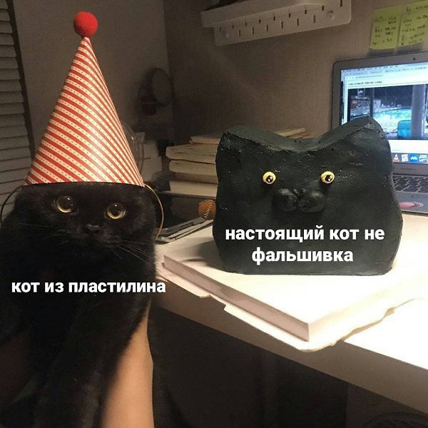    - 11  2024  13:13