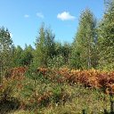 ���� ������, �������, 66 ��� - ��������� 10 ���� 2024 � ������ ���� ����������