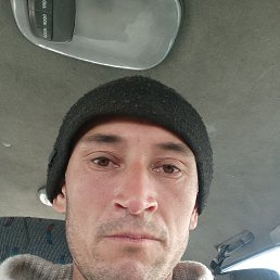 , 37, 