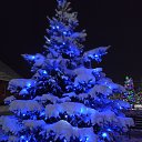 ���� �������, �������, 56 ��� - ��������� 9 ������ 2026 � ������ ���� ����������
