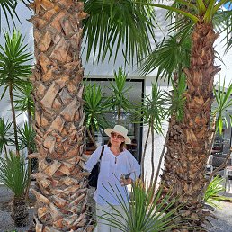 ���� �����, �����-���������, 53 ���� - ��������� 20 ������� 2025