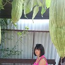 ���� ��������, �������, 41 ��� - ��������� 15 ��� 2025 � ������ ���� ����������