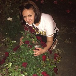 ���� �����, ������, 34 ���� - ��������� 9 ������ 2026