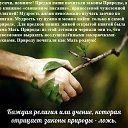 ���� �����, ����������� - ��������� 27 ������� 2025 � ������ ������ ��������