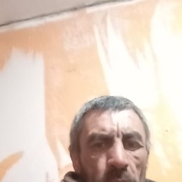 , 45, 