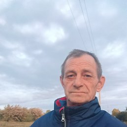 , 55, 