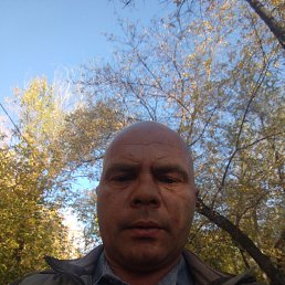 , 45, 