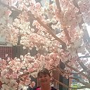 ���� �������, �����, 32 ���� - ��������� 23 ��� 2025 � ������ ���� ����������