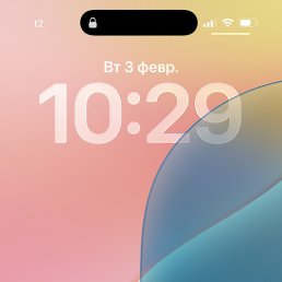������, ������, 33 ����
