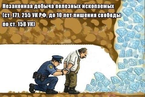 THE DUMP - 17 ������� 2026 � 06:14