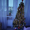 ���� ������, ��������, 68 ��� - ��������� 23 ������� 2025 � ������ ���� ����������
